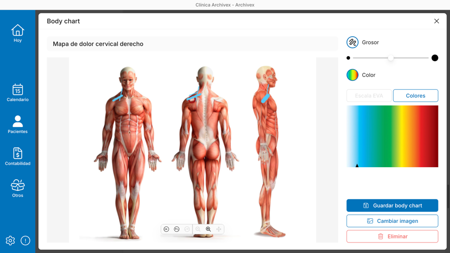 Body chart